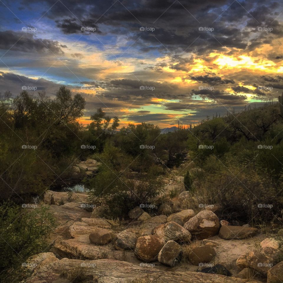 Nature Landscape - Sunset Fall