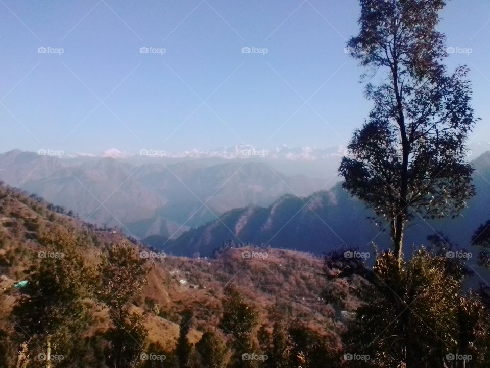 Mountain, Landscape, Tree, Nature, Sky
