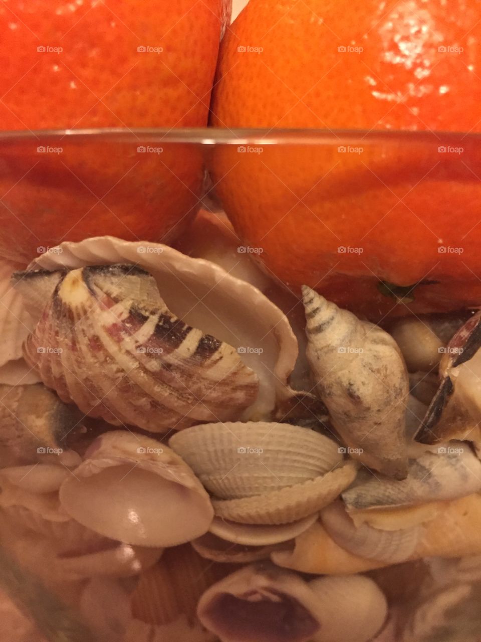 Oranges & shells
