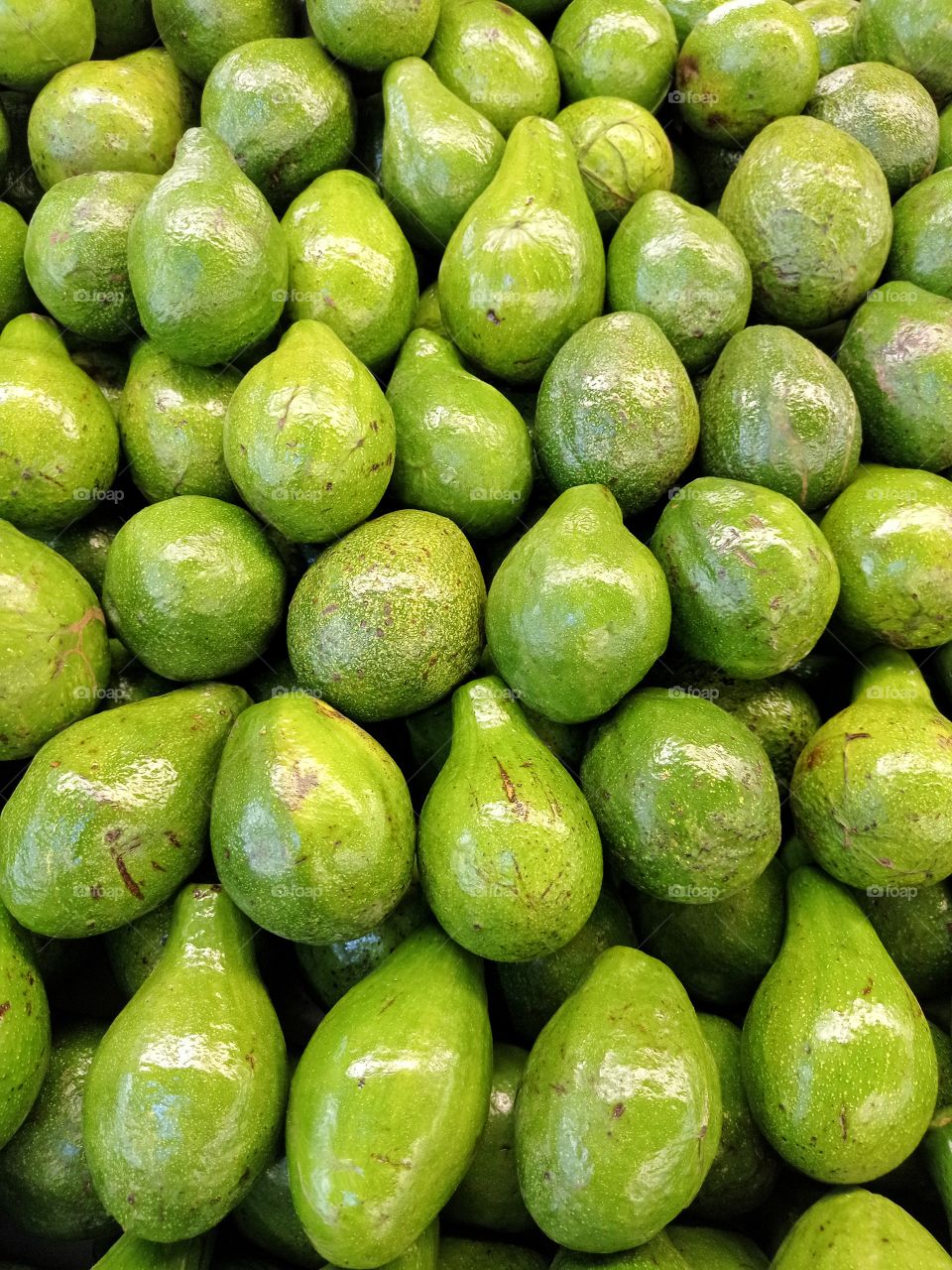 Fresh green avocados