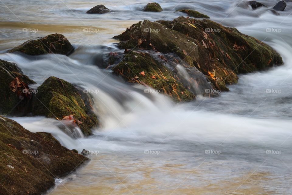 Smoky Mountain stream