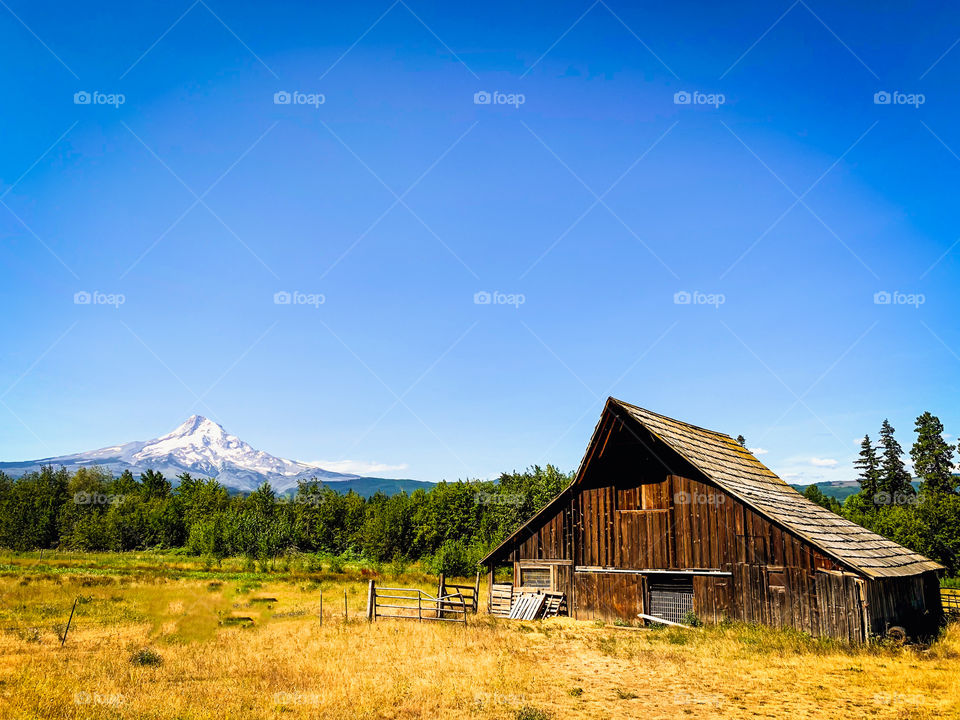 Shed in the countryside 