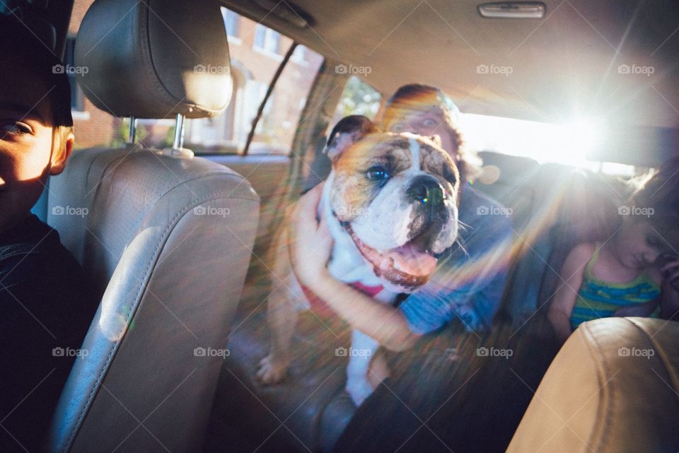 Mox going for a ride downtown