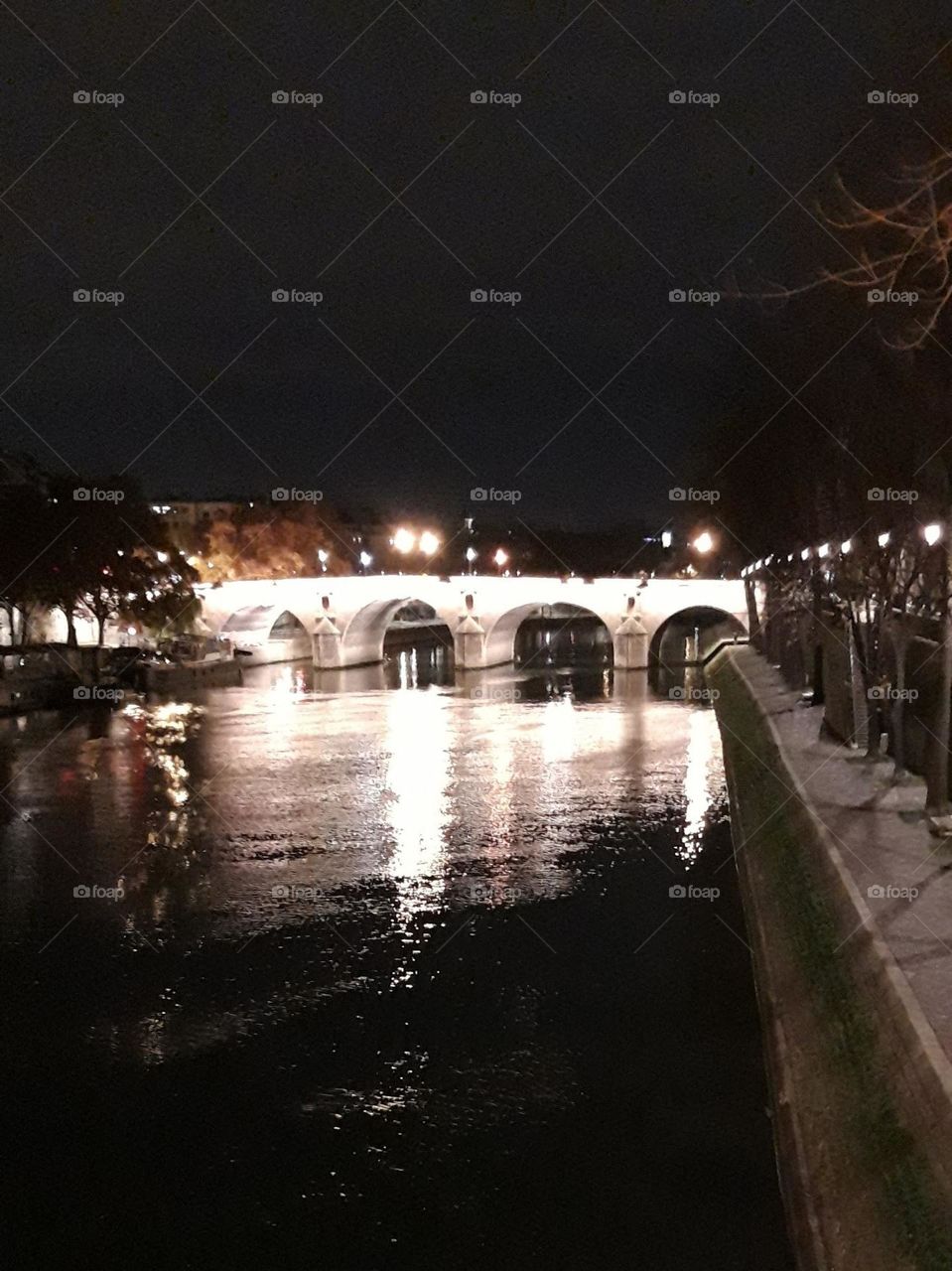 pont de Paris