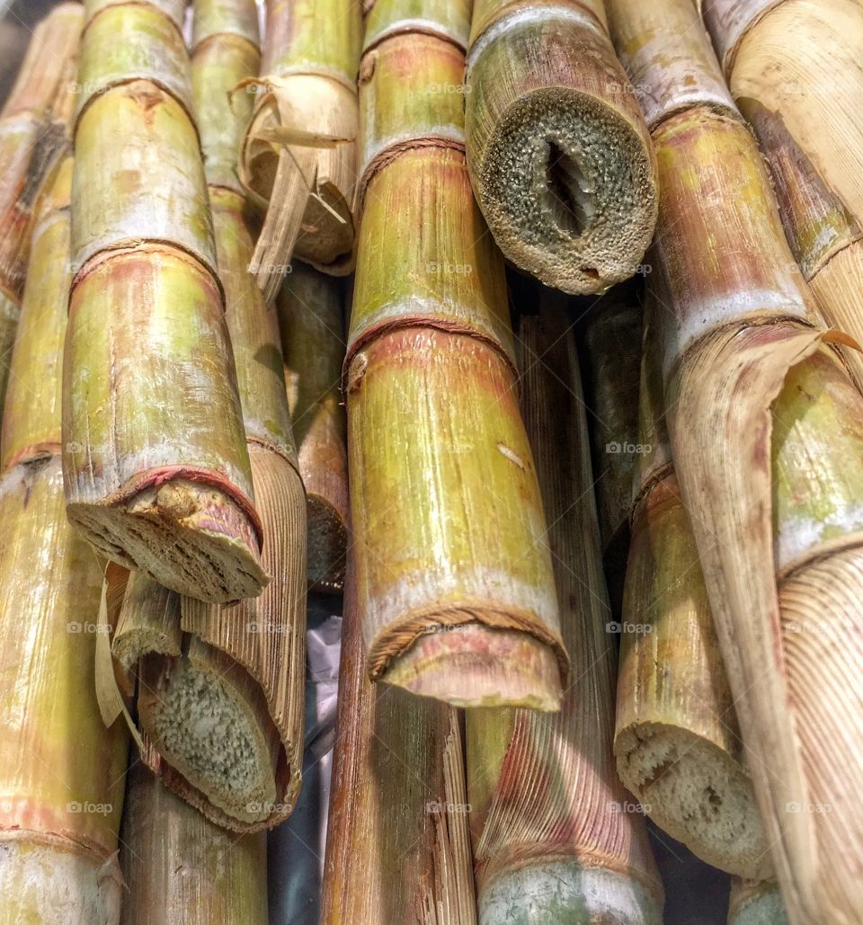 Sweet sugarcane 