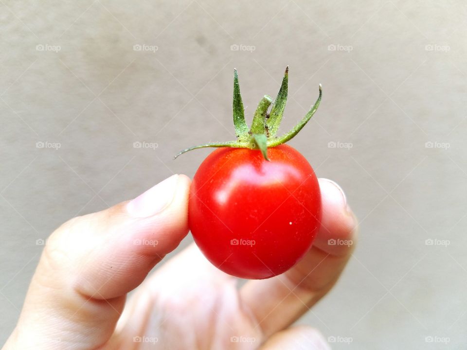 tomato