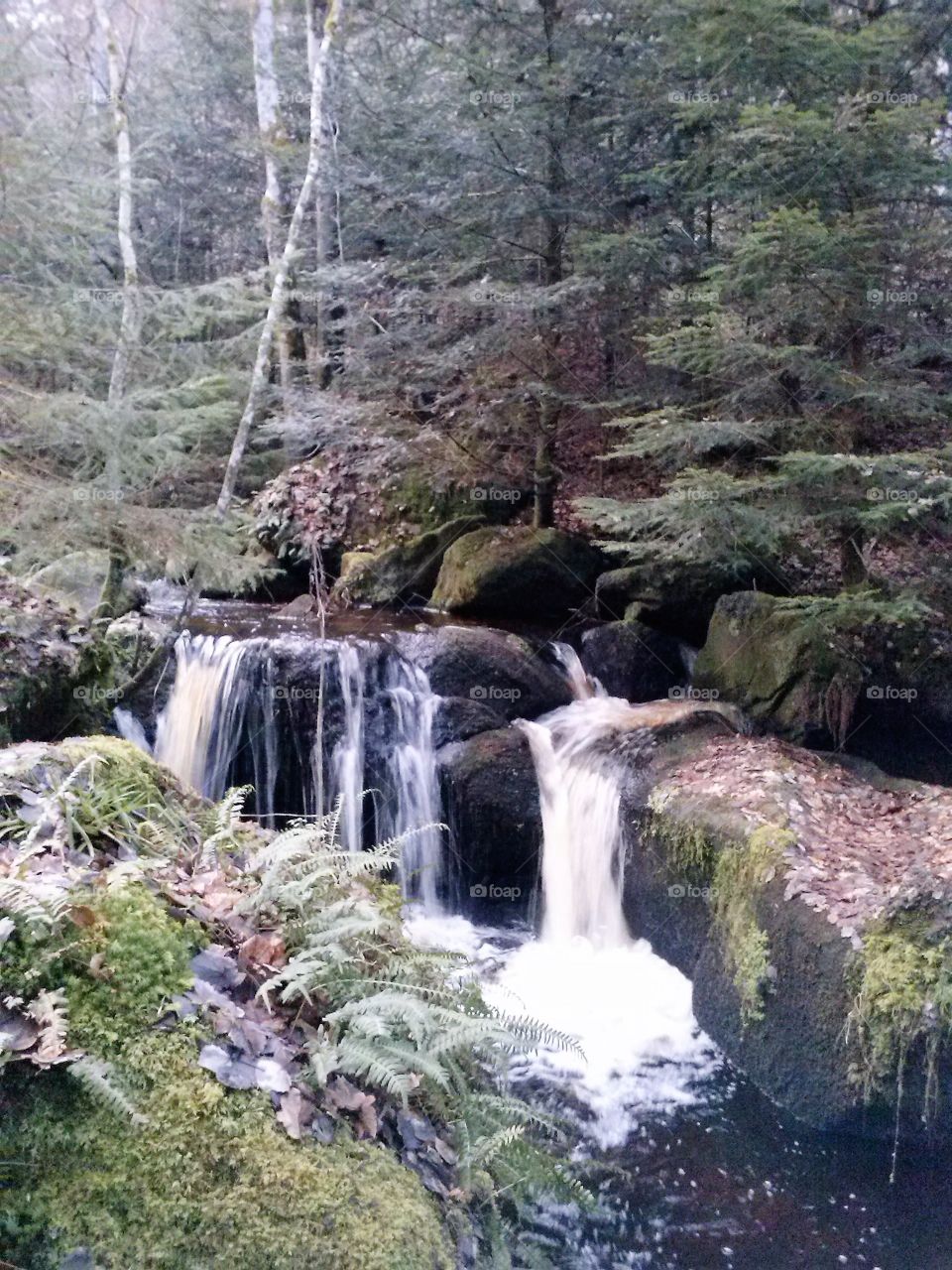 Waterfall in Schwarzwald