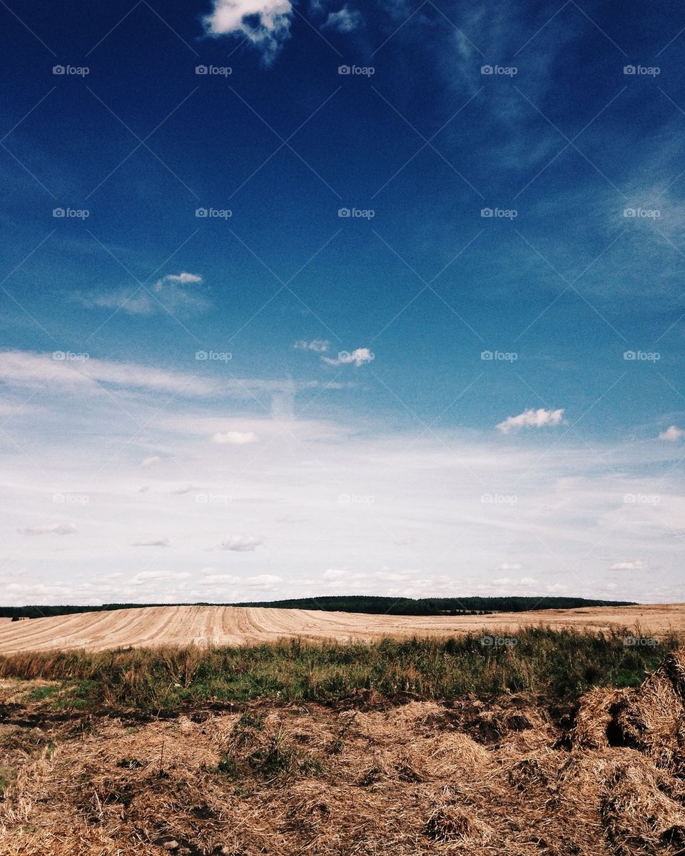 High angle view of field