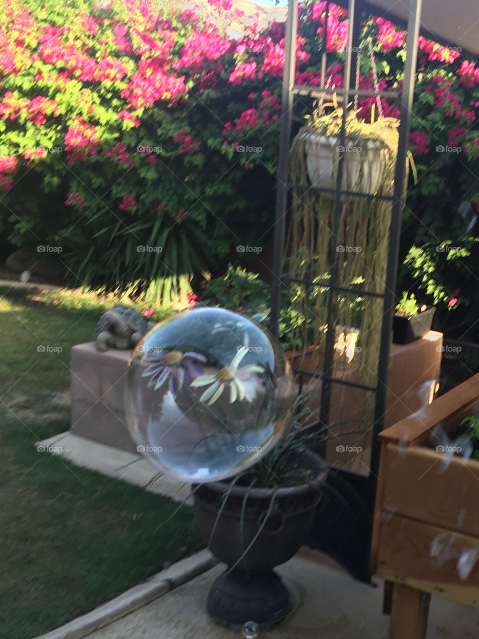 Bubble in a garden.