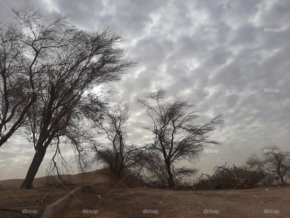 Please make me happy, I am poor, I need your help with support