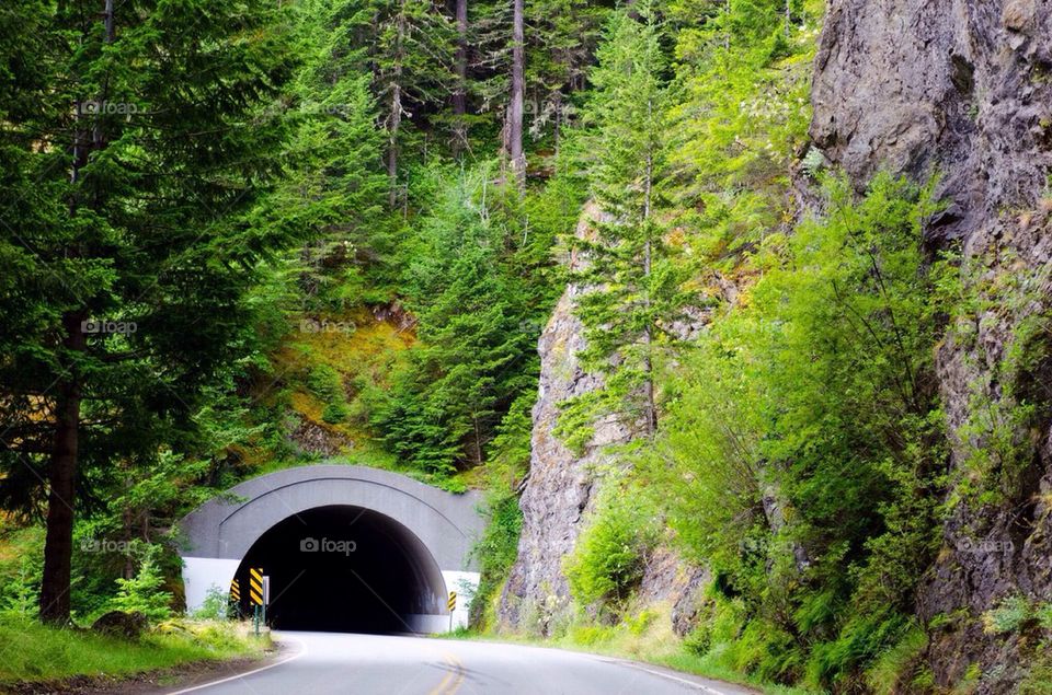 View of road entering tunnel