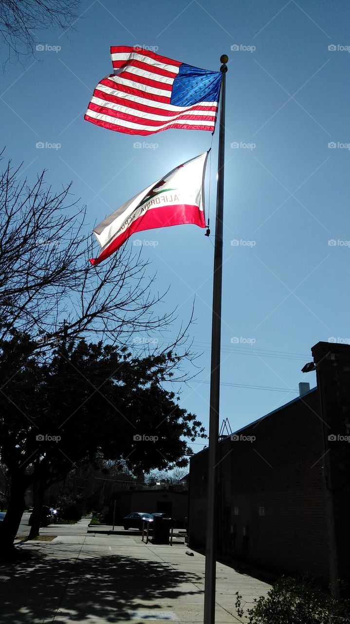 flag blowing in the wind