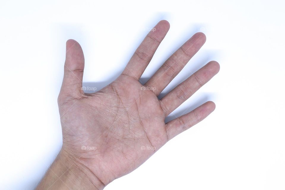 A Hand Palm in The Minimalist White Background with Flat Lay Shot, Landscape Mode