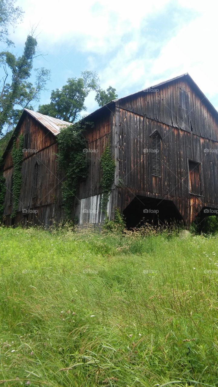 old barn country nature rustic. grass Brown wood vintage scenic skyy sky
