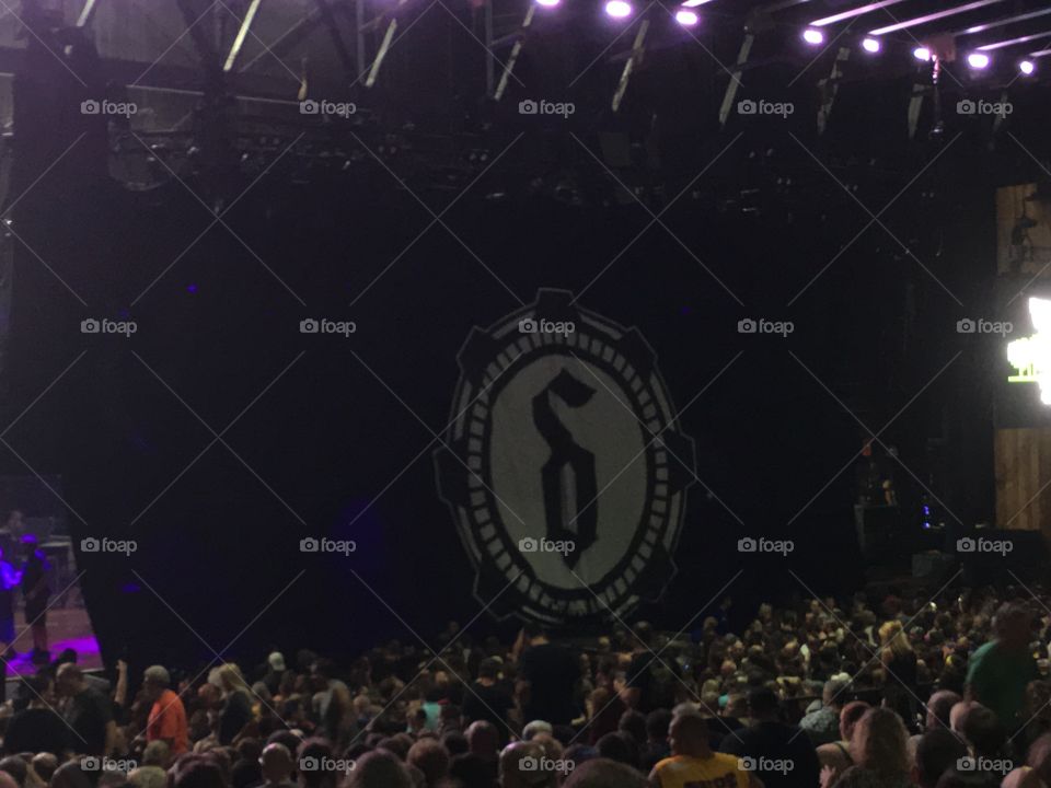 Concert, Performance, Music, Many, Audience