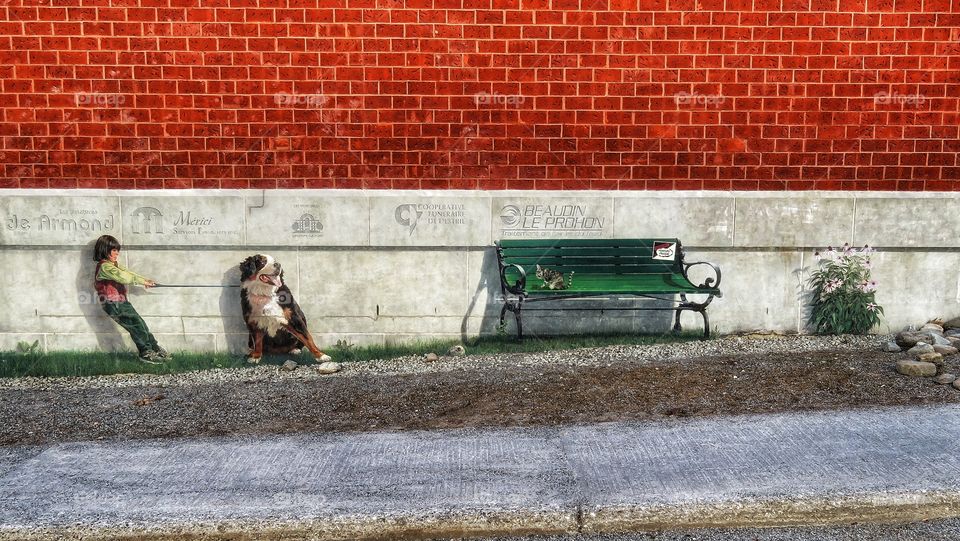 Mural Sherbrooke Québec 