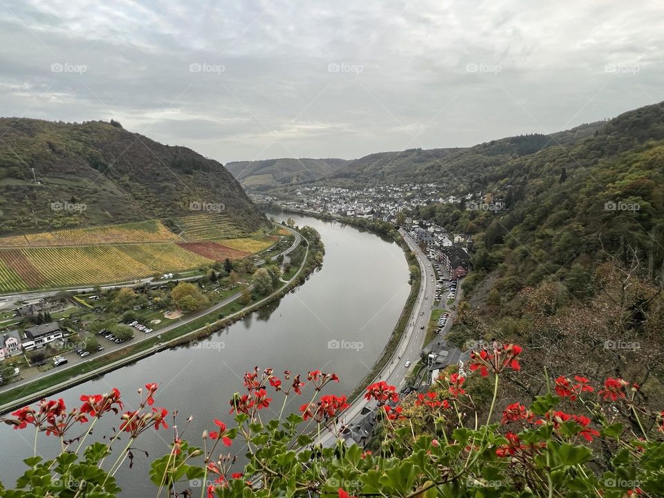 Overlooking the Rhine 