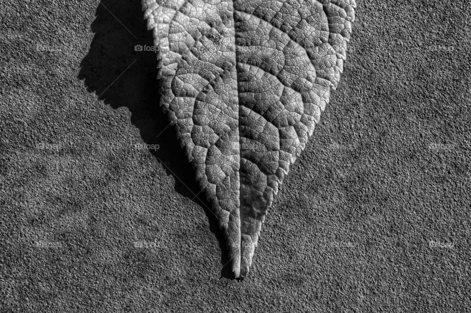 Texture, No Person, Abstract, Desktop, Nature