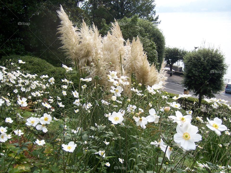 Natural garden