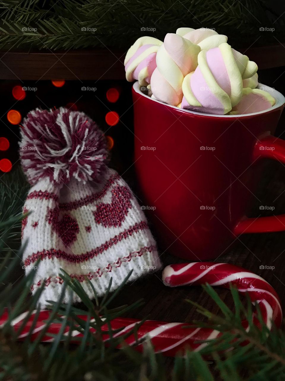 Hot cocoa with marshmallows 