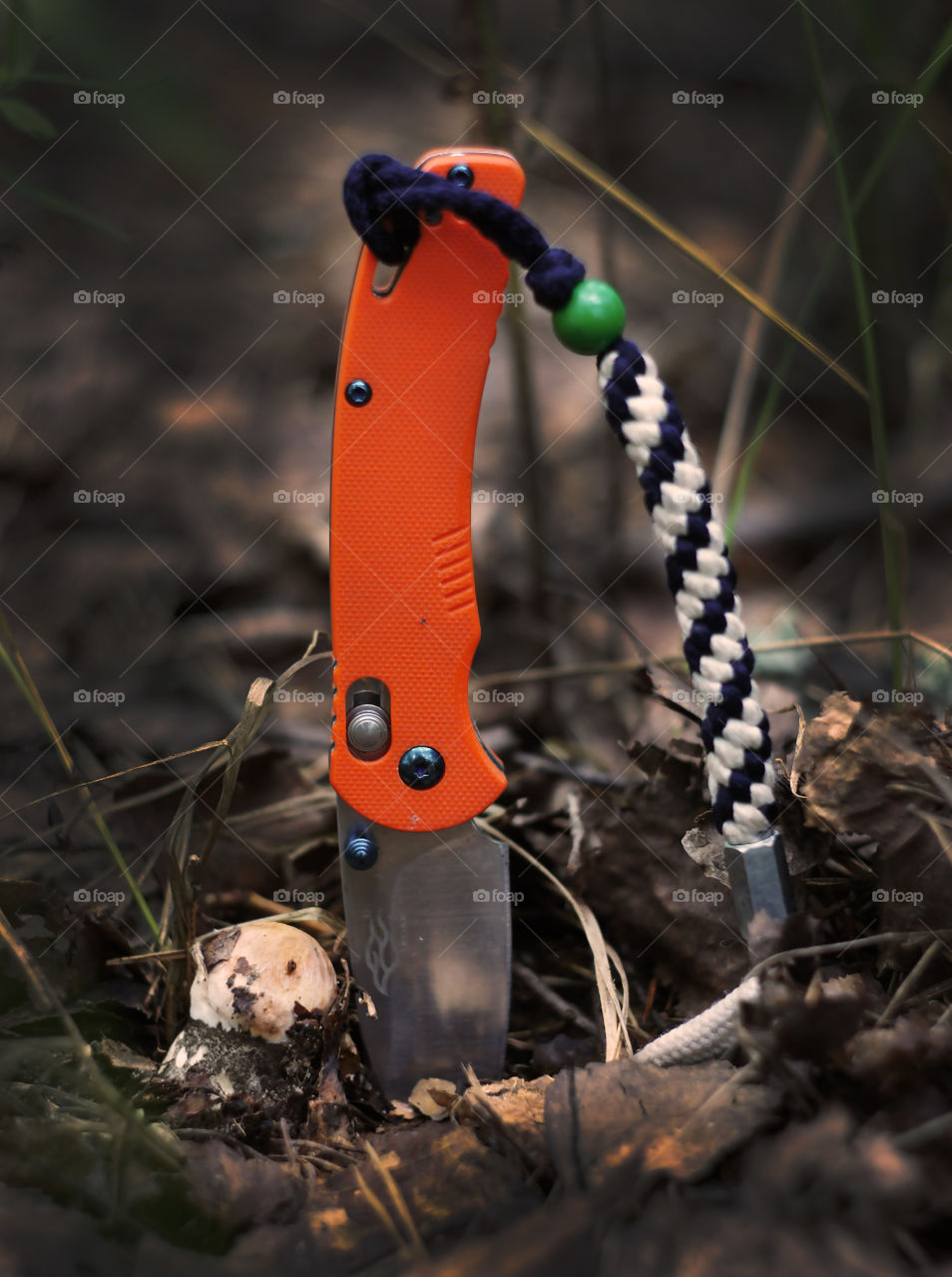 very tiny mushroom and bright knife