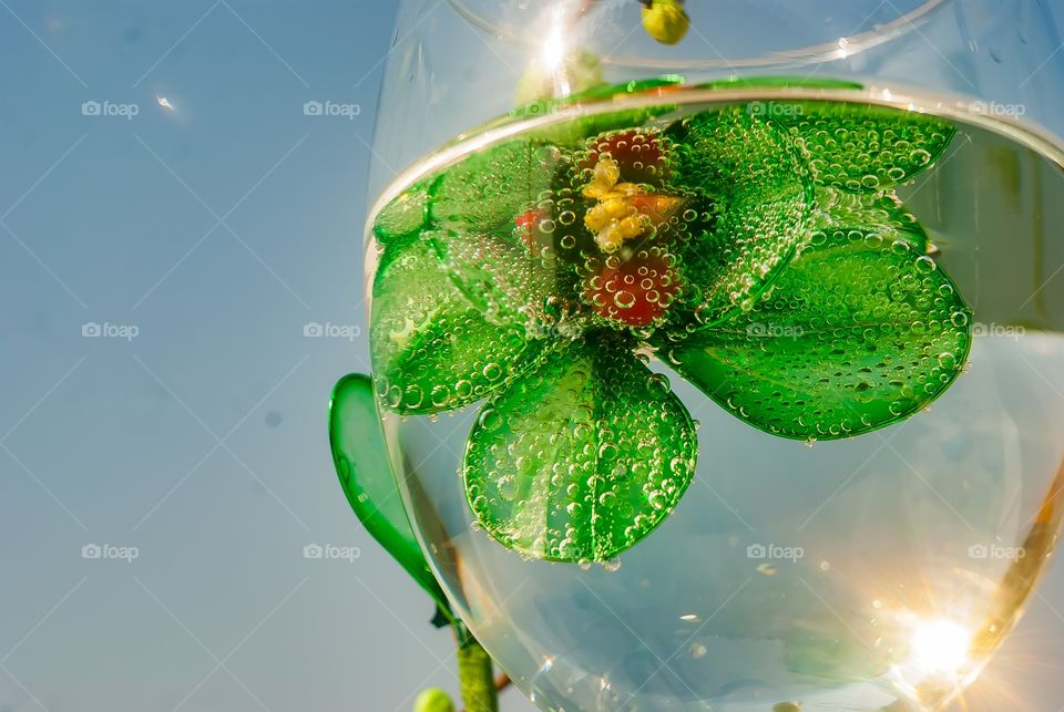 Close-up of leaf in wineglass