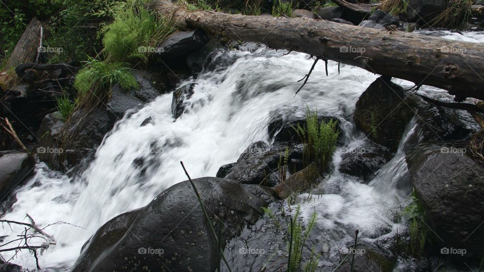 Little stream. Waterfall in Boise national forest