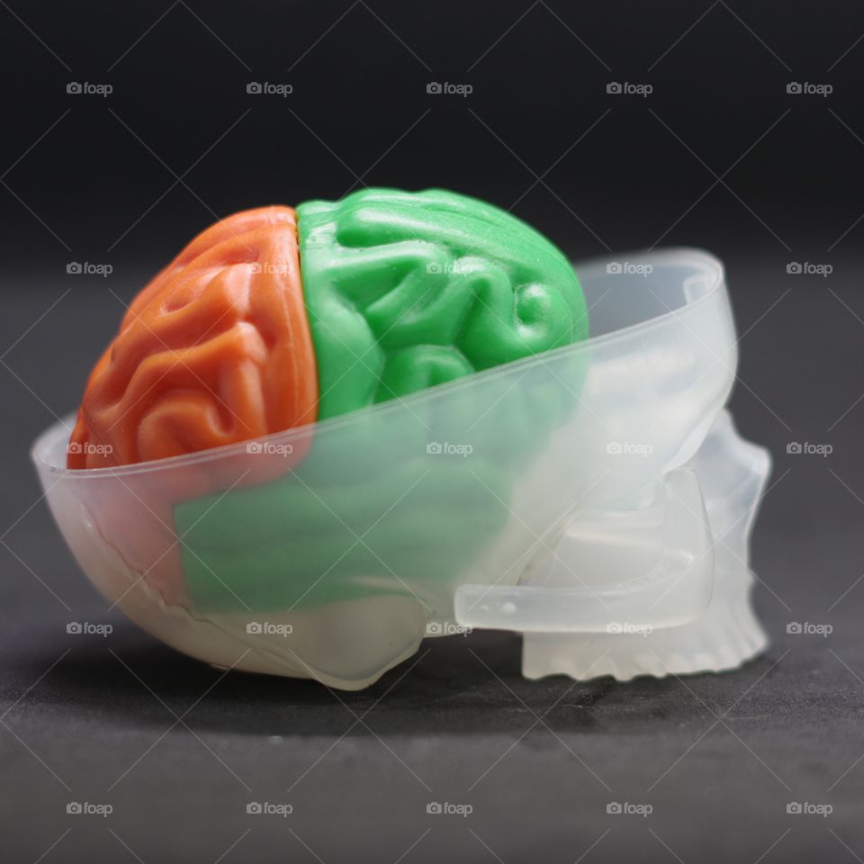 Build your own brain, a plastic model of the human skull and brain.