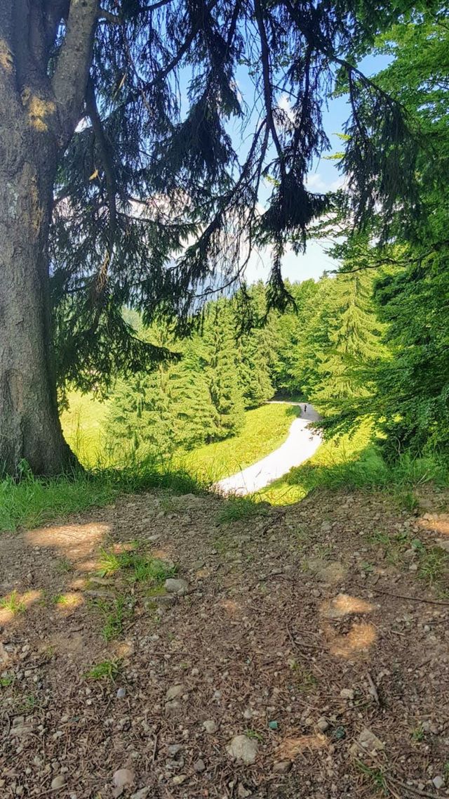nature