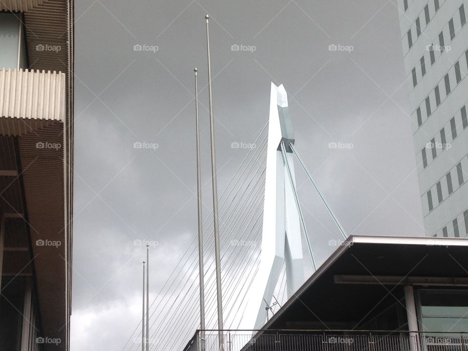 Erasmus bridge Rotterdam