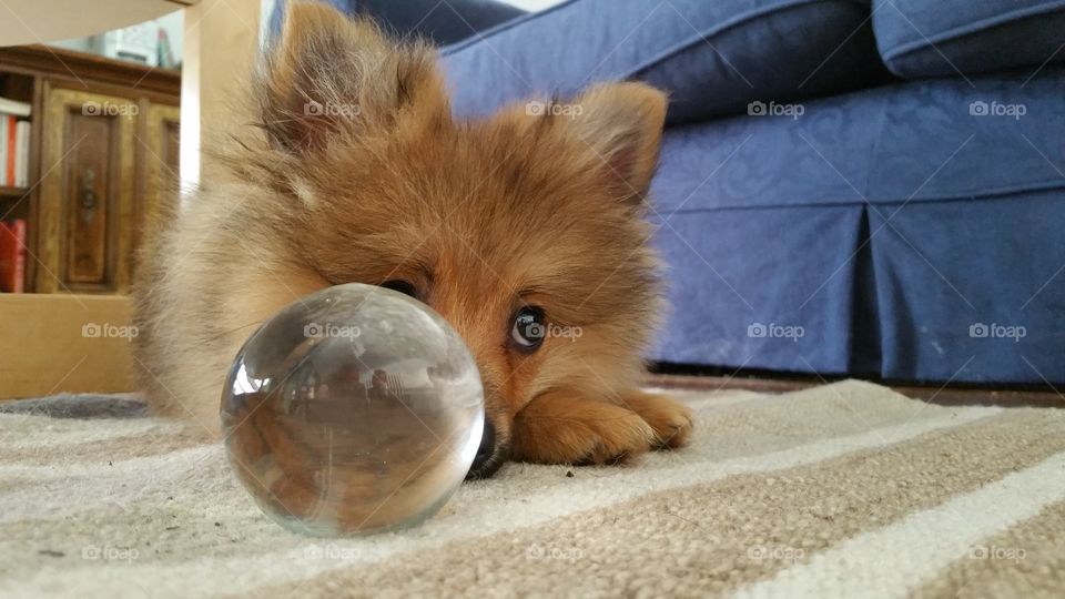 kylo looking into the future