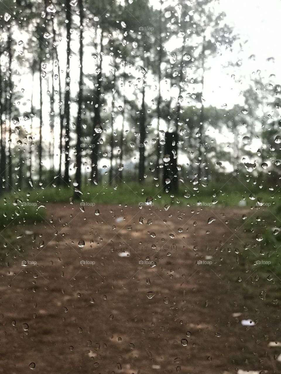 Rain drop