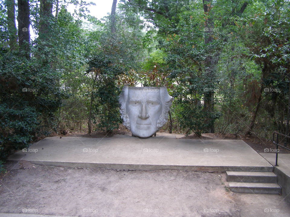 Likeness of Sam Houston's Head (distant)