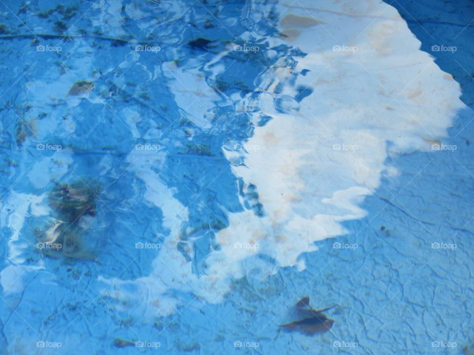 reflection of clouds