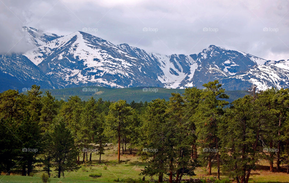 trees mountains by refocusphoto