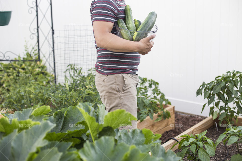 Gardening & harvest 