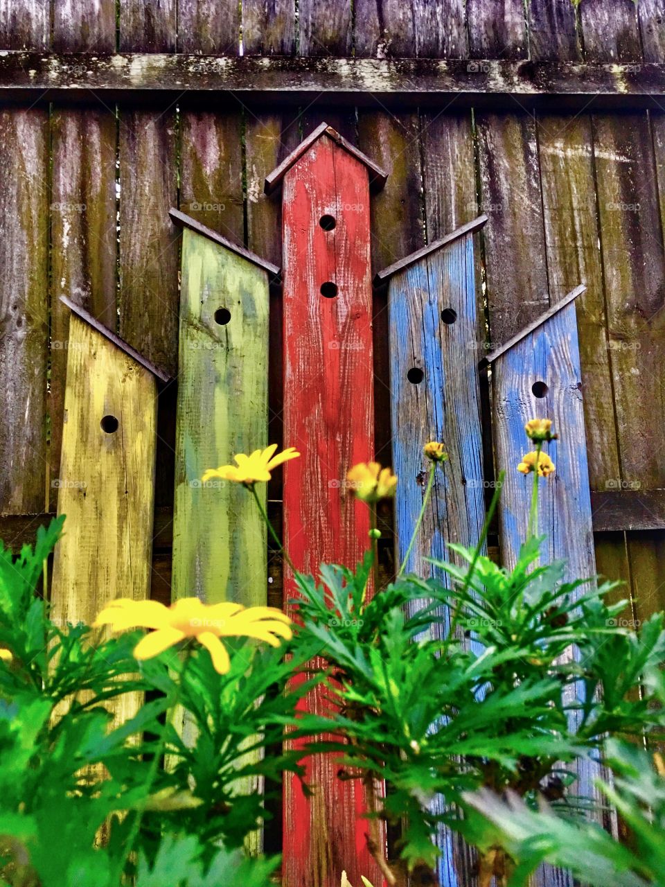 Bird houses. 