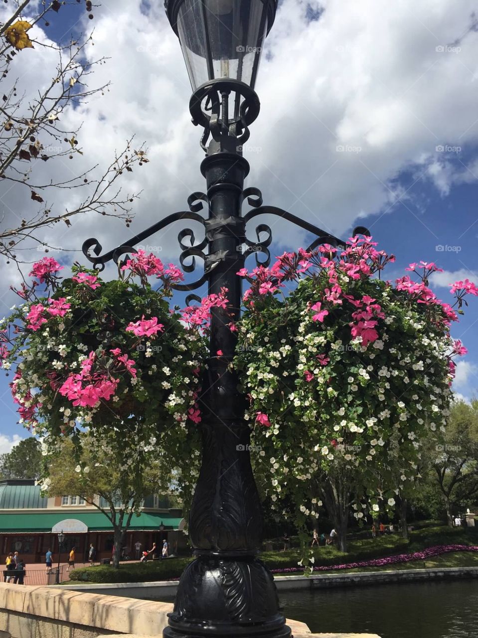 Floral hanging basket 