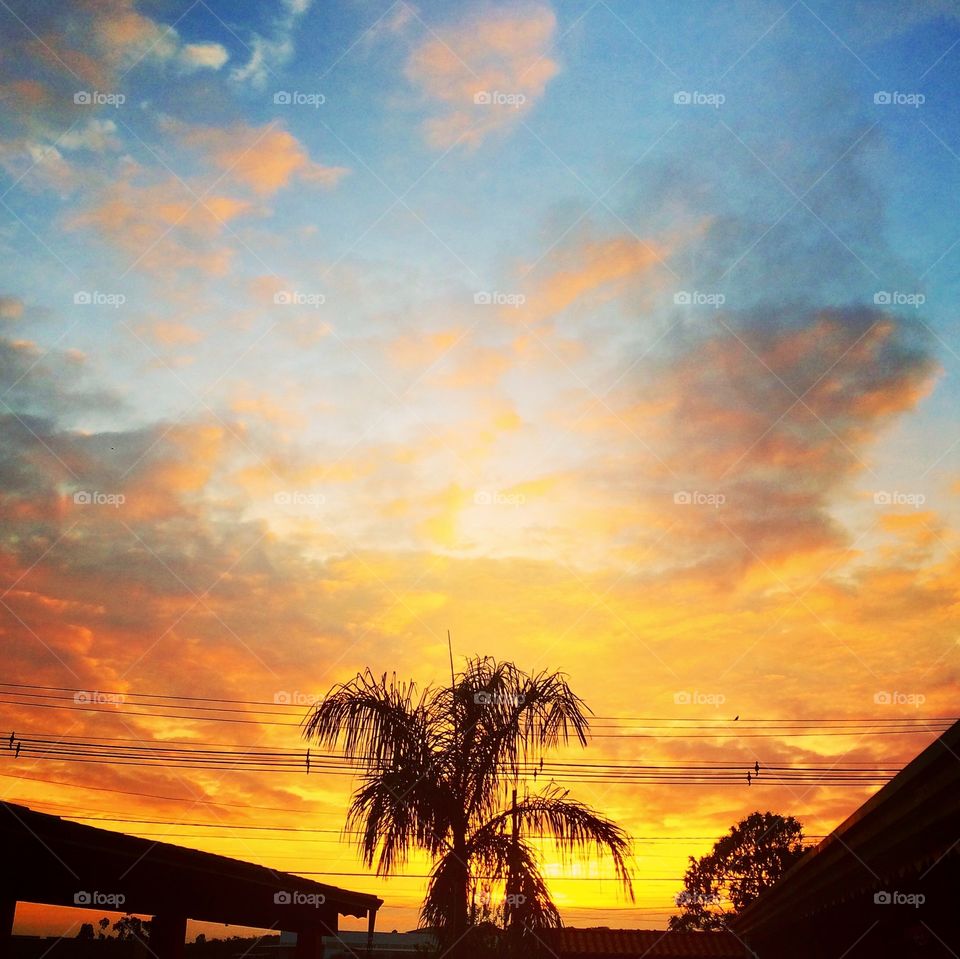 🌅Desperte, Jundiaí. 
Que a jornada diária possa valer a pena!
🍃
#sol #sun #sky #céu #photo #nature #morning #alvorada #natureza #horizonte #fotografia #pictureoftheday #paisagem #inspiração #amanhecer #mobgraphy #mobgrafia #Jundiaí #AmoJundiaí