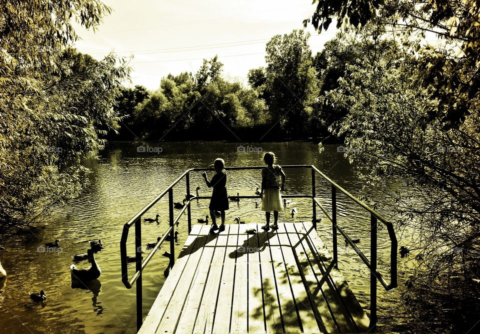 Children at the Pond. Two children with Ducks at a pond.