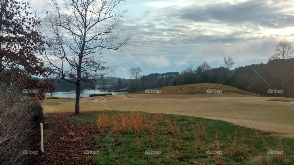 Landscape, Tree, No Person, Nature, Outdoors