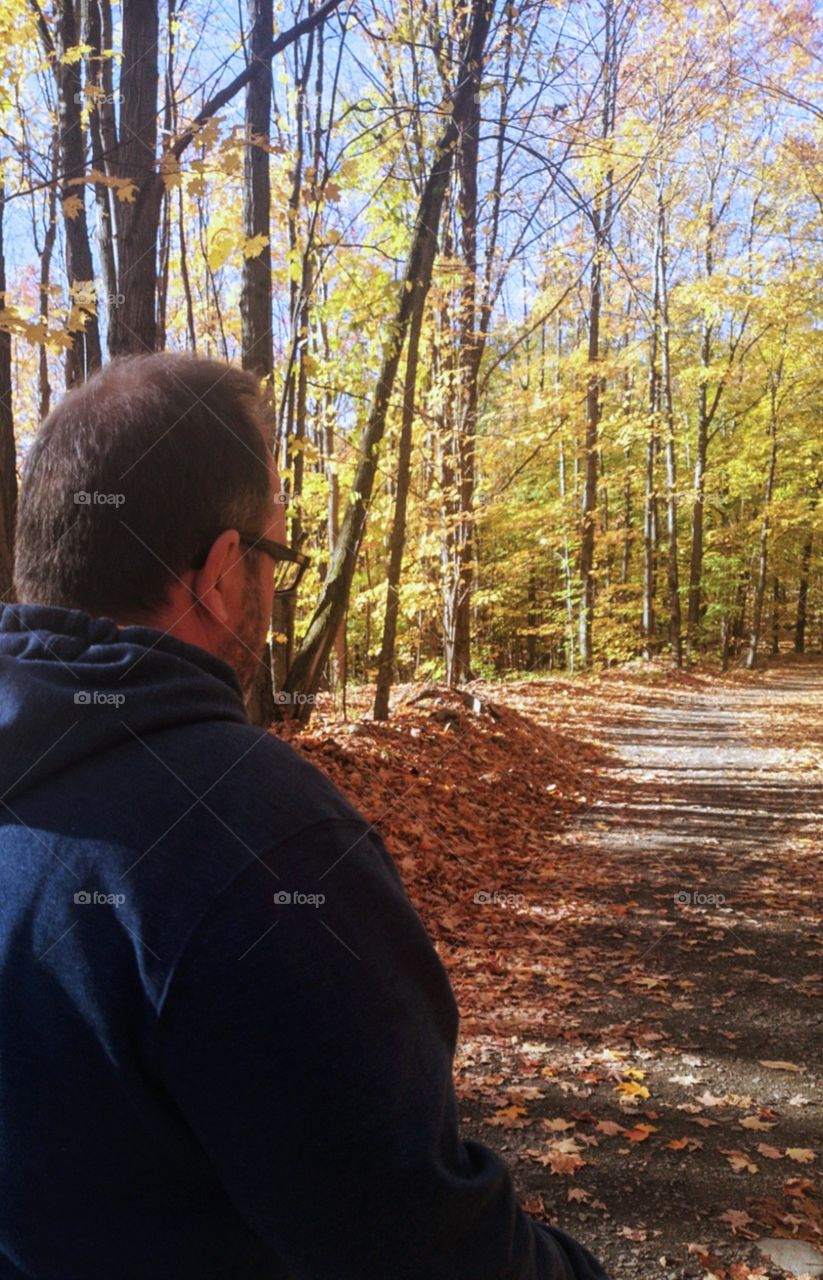 a walk in the forest a beautiful fall afternoon