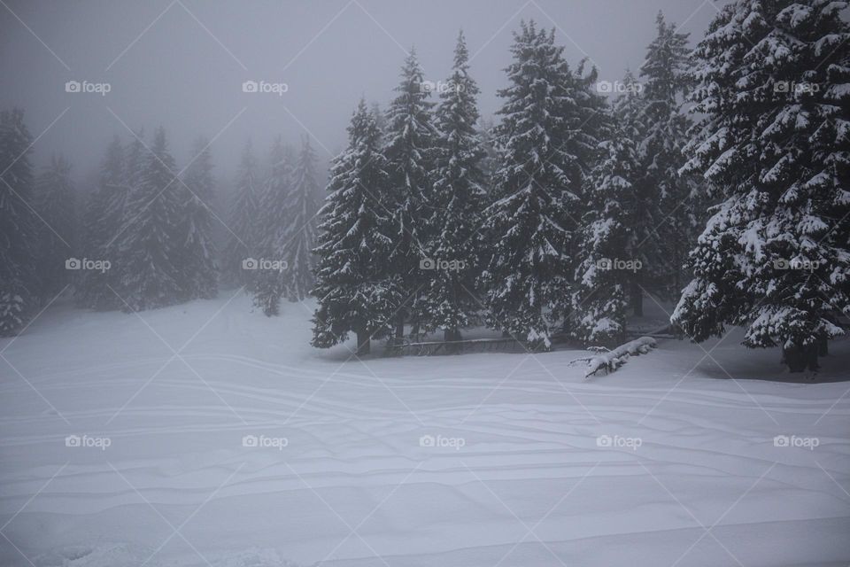 First snow of the season