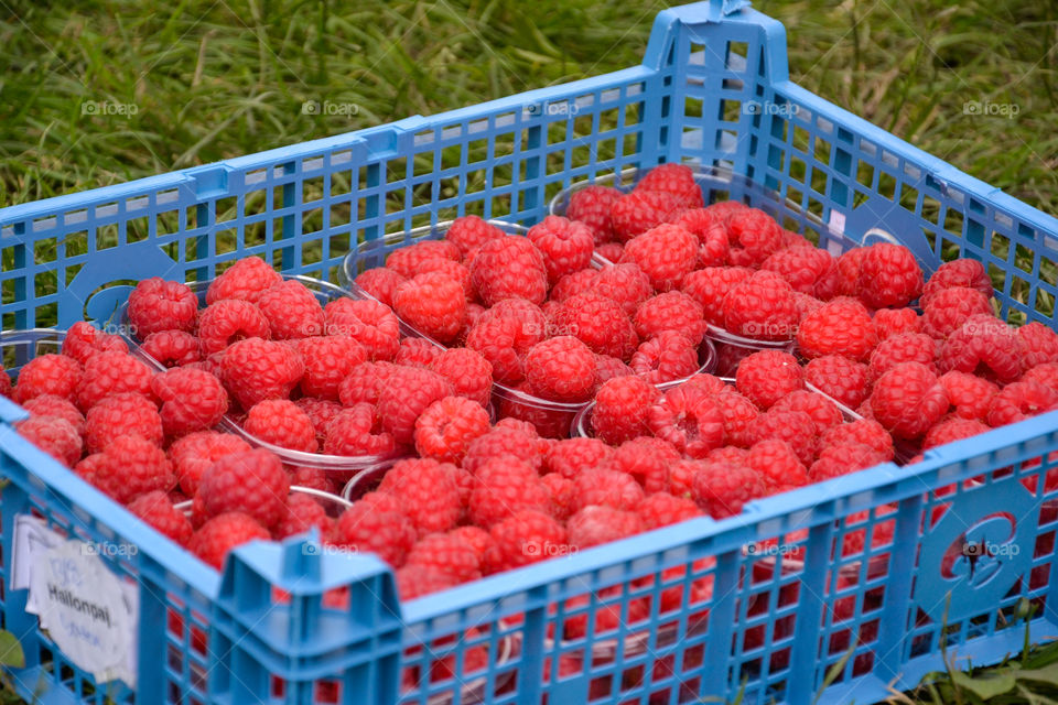 Raspberries