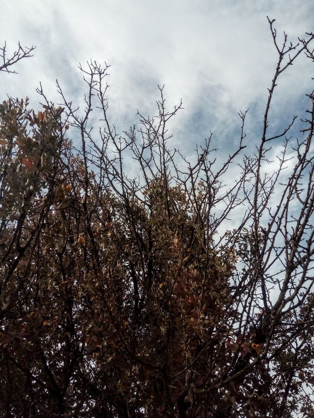 sky