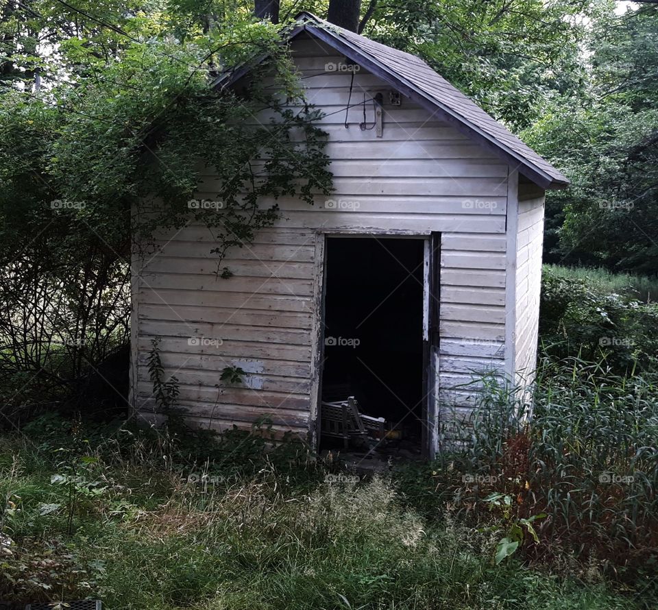 Deserted Distressed Old Shed