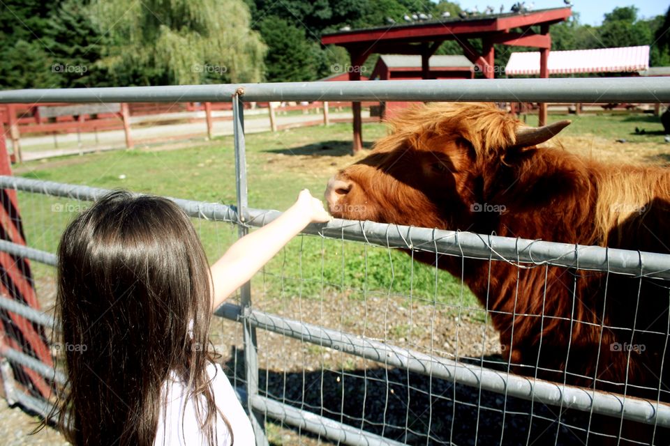 She made a new friend today