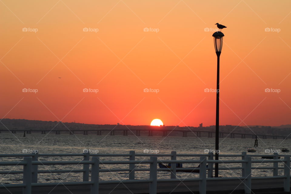 Bird on street lamp in the ocean shore with a sunset view 