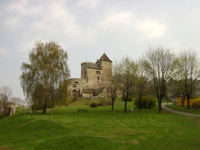 A beautiful castle framed by trees on a summer day. 