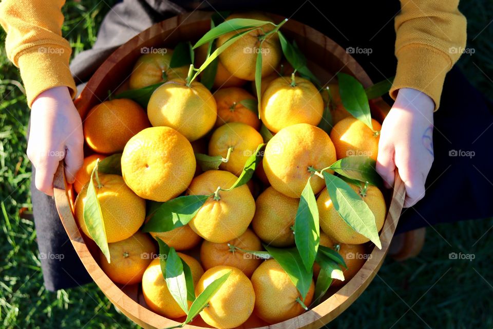 A person holding mandarin in basket